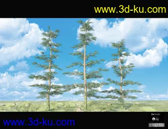 3D打印模型Nature Plants Bundle的图片
