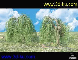 3D打印模型Nature Plants Bundle的图片