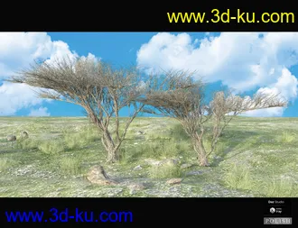 3D打印模型Nature Plants Bundle的图片