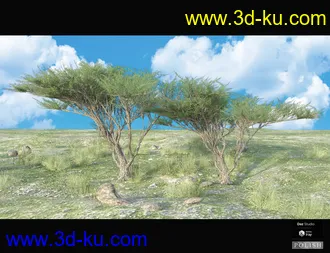 3D打印模型Nature Plants Bundle的图片