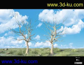 3D打印模型Nature Plants Bundle的图片