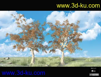 3D打印模型Nature Plants Bundle的图片