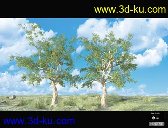 3D打印模型Nature Plants Bundle的图片