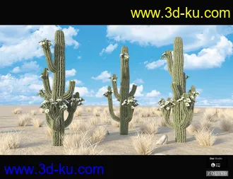 3D打印模型Nature Plants Bundle的图片