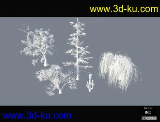 Nature Plants Bundle模型的图片34