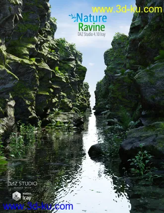 3D打印模型Nature Ravine的图片