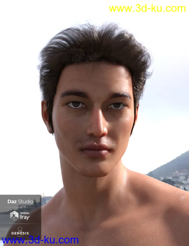 Nocturne Hair for Genesis 8 Male(s)模型的图片2