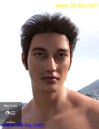 3D打印模型Nocturne Hair for Genesis 8 Male(s)的图片