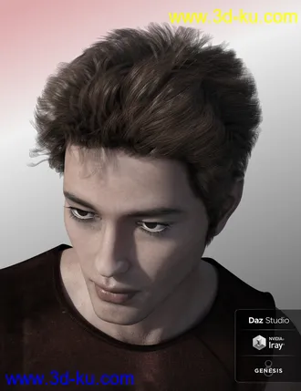 3D打印模型Nocturne Hair for Genesis 8 Male(s)的图片