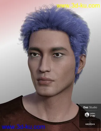 3D打印模型Nocturne Hair for Genesis 8 Male(s)的图片
