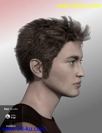 3D打印模型Nocturne Hair for Genesis 8 Male(s)的图片