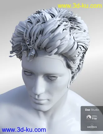 3D打印模型Nocturne Hair for Genesis 8 Male(s)的图片