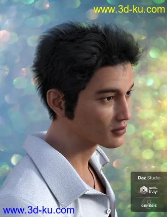 3D打印模型Nocturne Hair for Genesis 8 Male(s)的图片