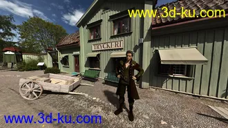 3D打印模型Old Swedish Town - DAZ Studio Iray HDRI Pack的图片