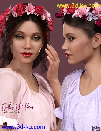 3D打印模型Oodles of Faces Morphs for Genesis 8 Female(s)的图片