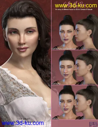 3D打印模型Oodles of Faces Morphs for Genesis 8 Female(s)的图片