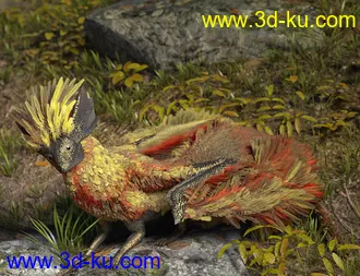 3D打印模型Oso Pixie Dragon for Daz Dragon 3的图片