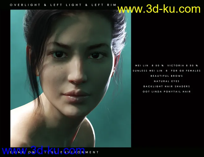 Perfect Portrait Lights模型的图片2