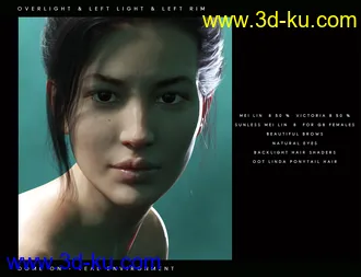 3D打印模型Perfect Portrait Lights的图片