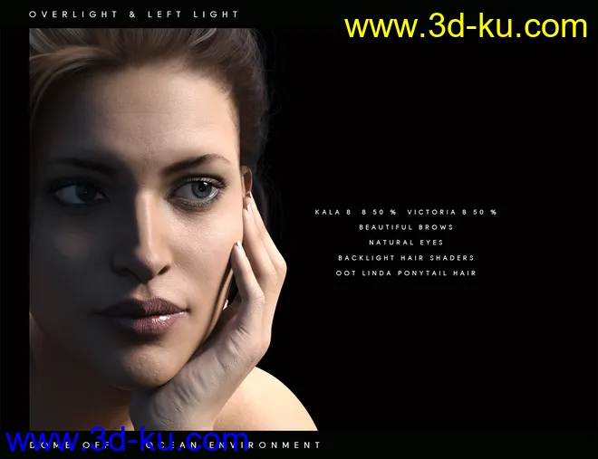 Perfect Portrait Lights模型的图片4