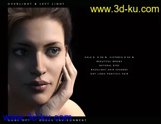 3D打印模型Perfect Portrait Lights的图片