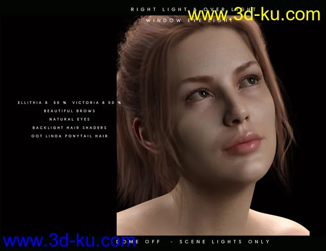 Perfect Portrait Lights模型的图片6