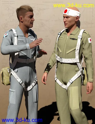 3D打印模型Pilot Uniform Materials of WWII的图片