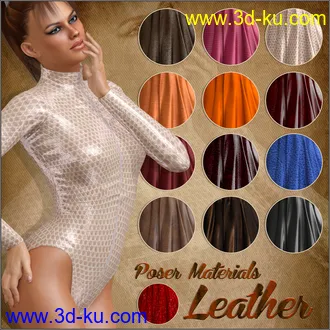 3D打印模型PM - Leathers的图片