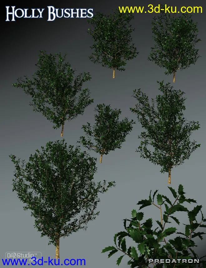 Predatron Holly Bushes模型的图片5