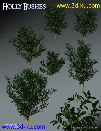3D打印模型Predatron Holly Bushes的图片