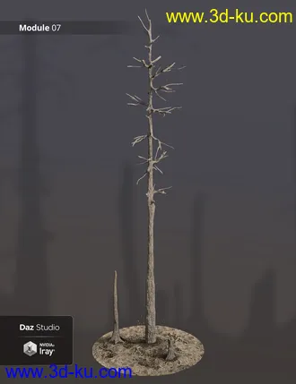 3D打印模型Prehistoric Floodplain Modules的图片