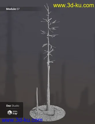 3D打印模型Prehistoric Floodplain Modules的图片