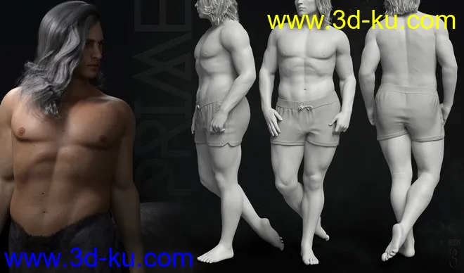 Prime Brawnies for Genesis 8 Male Centaur模型的图片14