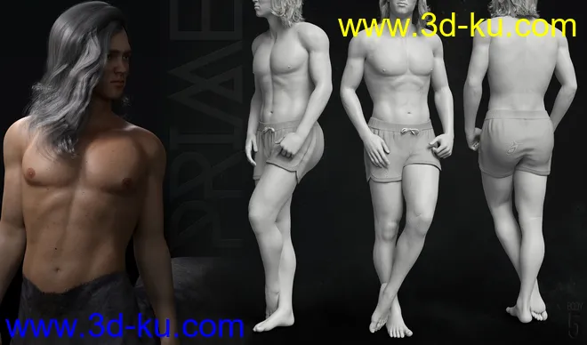 Prime Brawnies for Genesis 8 Male Centaur模型的图片16