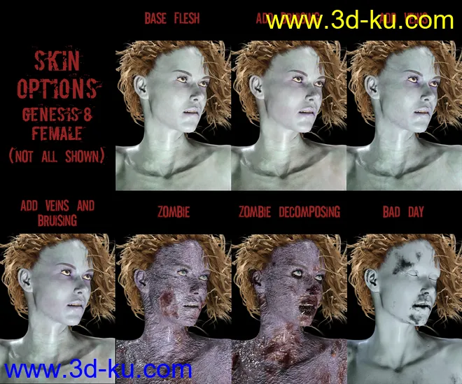 PTF Un-deadbeats - Materials, Poses, Props模型的图片6