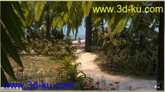 3D打印模型PW Bikini Islands的图片