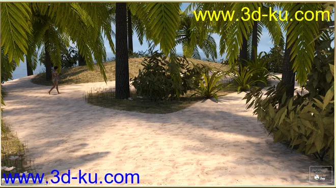 PW Bikini Islands模型的图片9