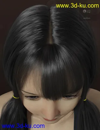3D打印模型Qiqi Twintail Hair For Genesis 8 Female(s)的图片