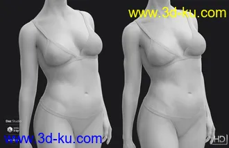3D打印模型Robyn 8 HD Add-On的图片
