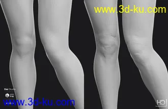 3D打印模型Robyn 8 HD Add-On的图片