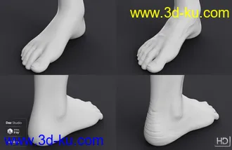 3D打印模型Robyn 8 HD Add-On的图片