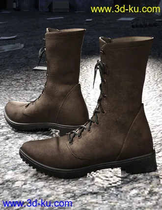3D打印模型Rocker Boots for Genesis 8 Male(s)的图片