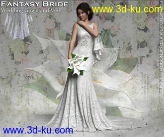 3D打印模型RP dForce Fantasy Bride的图片