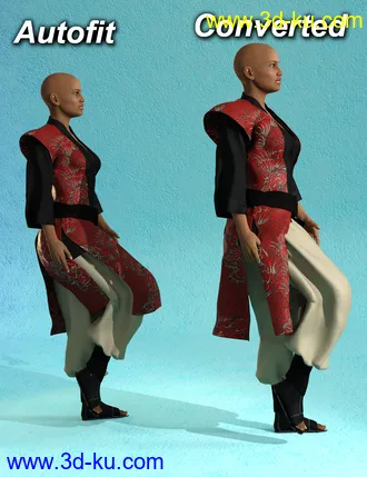 3D打印模型RSSY Cross Gender Clothes Genesis 8的图片
