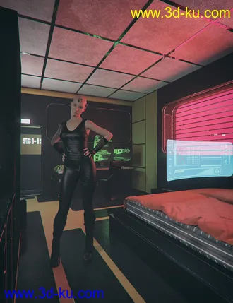 3D打印模型SF Bedroom的图片