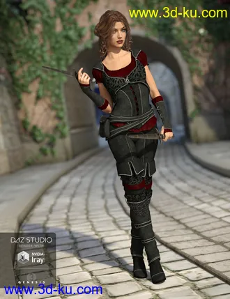 3D打印模型Shameless Rogue Outfit Textures的图片