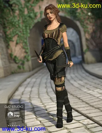 3D打印模型Shameless Rogue Outfit Textures的图片