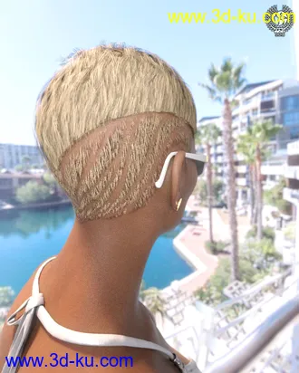 3D打印模型Short Classy Hair For Genesis 3 And 8 Female(s)的图片