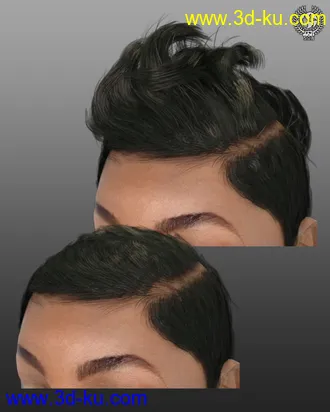 3D打印模型Short Classy Hair For Genesis 3 And 8 Female(s)的图片