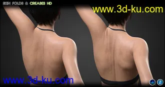 3D打印模型Skin Folds & Creases HD for Genesis 3 & 8 Female的图片